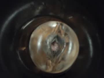 Lanceguerr July 14, 2026 Chaturbate stream image