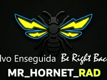 Mr_Hornet_Rad July 15, 2026 Chaturbate stream image