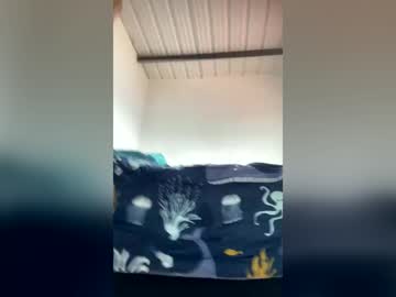 Bad_Way3 July 17, 2026 Chaturbate stream image