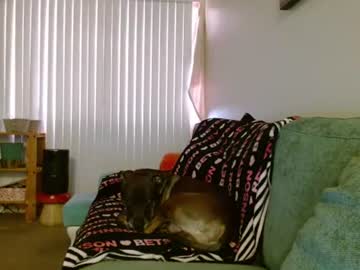 Shythang91 July 21, 2026 Chaturbate stream image